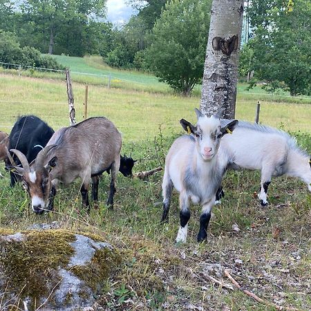Haeradssaetter Gard 1 Guest House Valdemarsvik Bagian luar foto